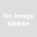 迎撃520（ベアブランク）